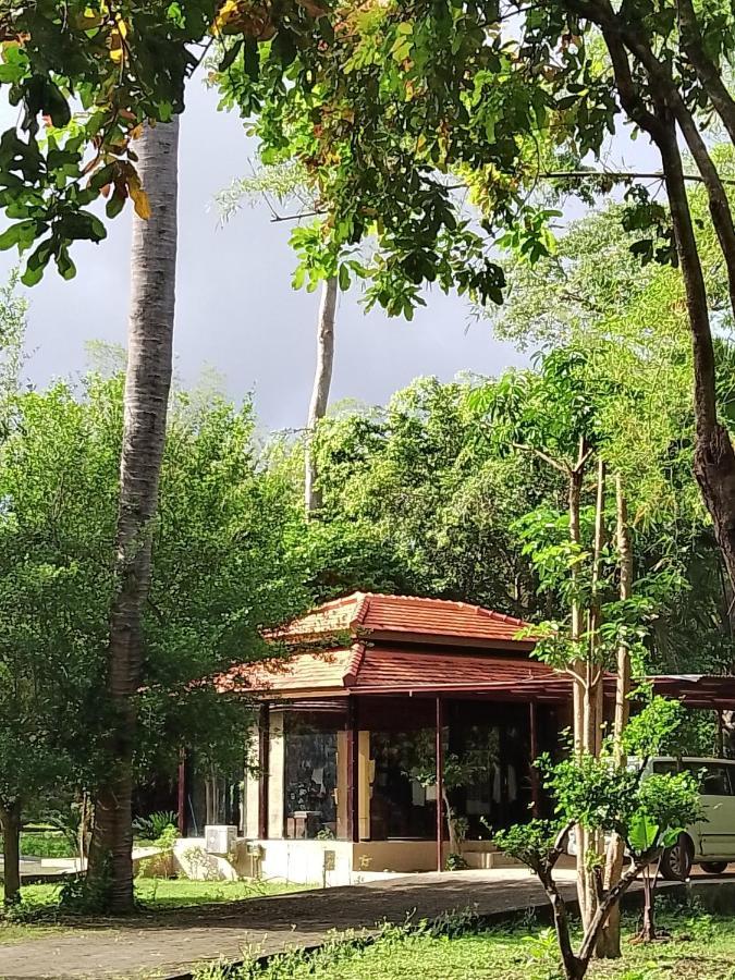Jawa Jiwa G-Land Resort Dadapan Dış mekan fotoğraf
