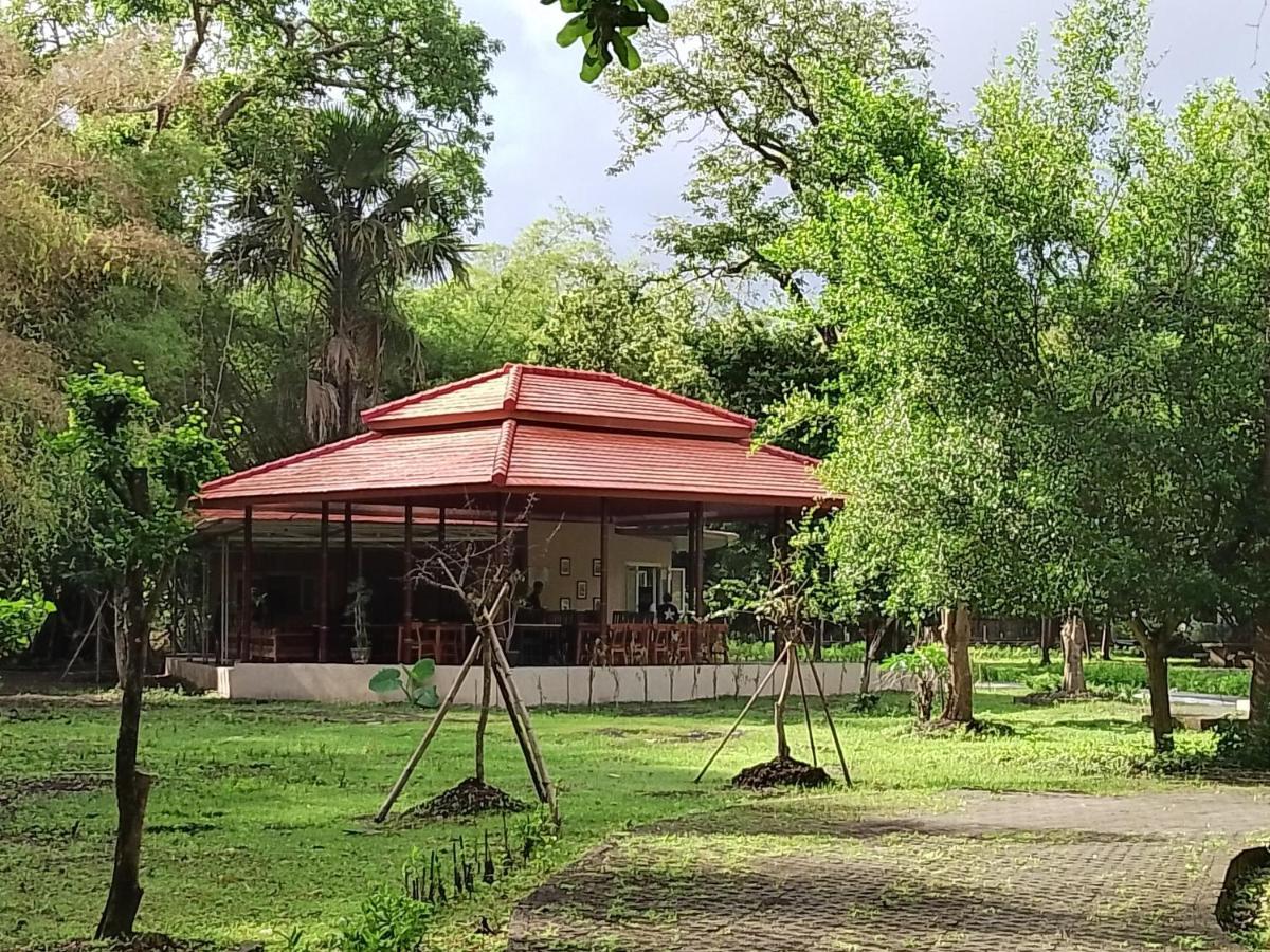 Jawa Jiwa G-Land Resort Dadapan Dış mekan fotoğraf