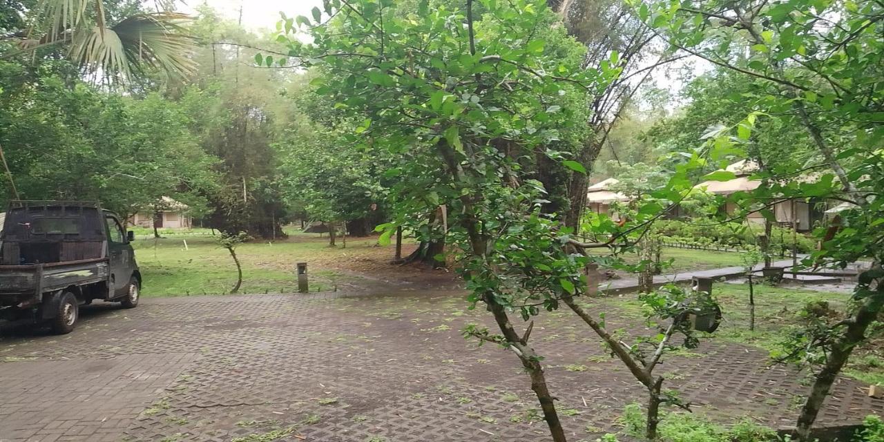 Jawa Jiwa G-Land Resort Dadapan Dış mekan fotoğraf